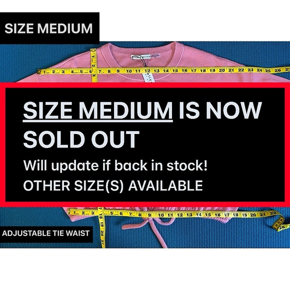 Alice + Olivia Bernetta Pink Cashmere Wool Blend Pullover Sweatshirt Sweater Top - Picture 11 of 17